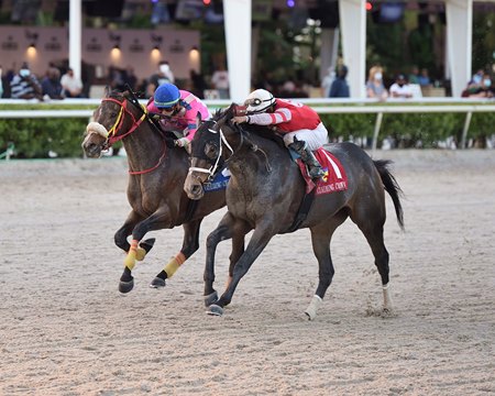 Frost Or Frippery (inside) wins the 2020 Claiming Crown Iron Horse by a nose at Gulfstream Park