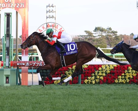 Danon the Kid wins the 2020 Hopeful Stakes at Nakayama Racecourse