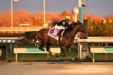 Nyra Announces Aqueduct Fall Meet Stakes Schedule - Bloodhorse