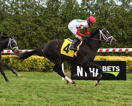 Spirit Maker breaks his maiden on first asking Nov. 18 at Aqueduct 