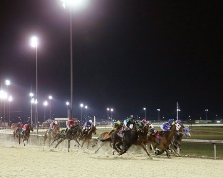 Racing at Turfway Park is taking place without a grandstand after the old facility was demolished last year