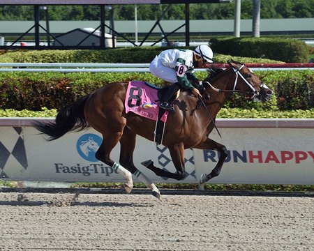 Descente wins the Claiming Crown Glass Slipper Stakes at Gulfstream Park 