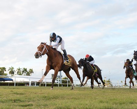 Largent wins the 2021 Ft. Lauderdale Stakes at Gulfstream Park