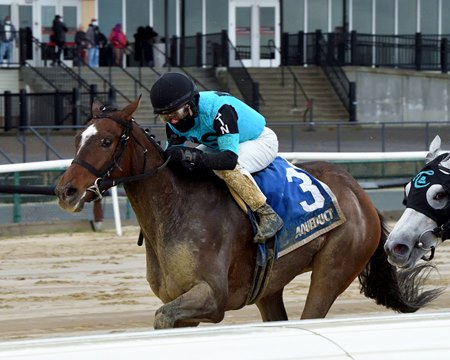 Brooklyn Strong wins the Remsen Stakes at Aqueduct Racetrack
