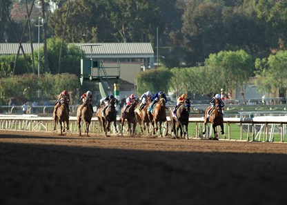 Fair Maiden - Horse Profile - BloodHorse