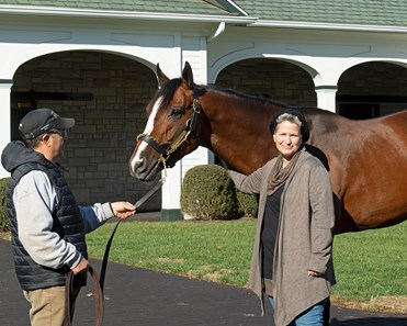 Authentic - Horse Profile - BloodHorse