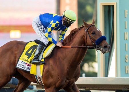 Debuting in the fifth race at Gulfstream Park Feb. 27 is Bennyfromthebronx, a half brother to Charlatan, pictured winning the Malibu Stakes at Santa Anita Park