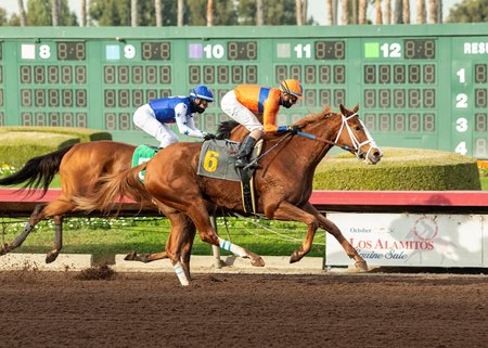 Proud Emma wins the Bayakoa Stakes at Los Alamitos Race Course