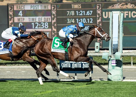 Smooth Like Strait Chases Grade 1 Win in Shoemaker - BloodHorse.com