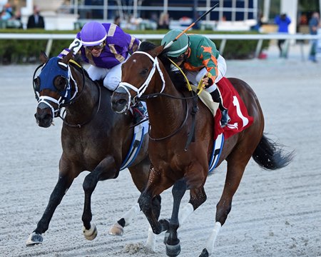 Joseph Considers 3 Year Old Stakes For Moonlite Strike Bloodhorse