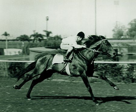 Cougar II breezes under regular jockey Bill Shoemaker at Santa Anita Park