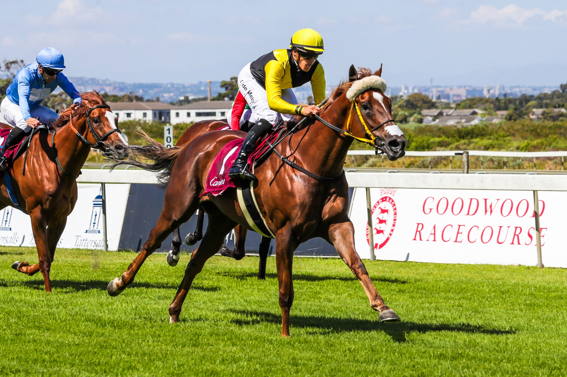 Cartier Paddock Stakes Headlines Page 1 of 1 BloodHorse