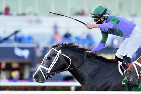 Colonel Liam wins the Pegasus World Cup Turf Invitational at Gulfstream Park