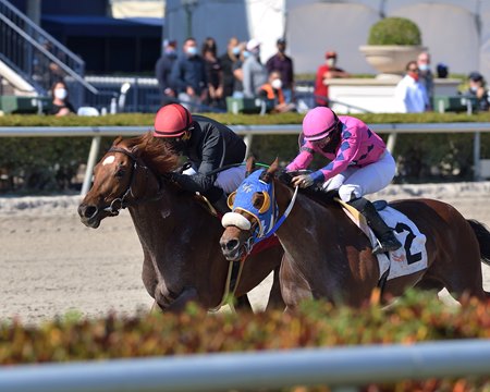 Performer (outside) wins the Fred W. Hooper Stakes at Gulfstream Park