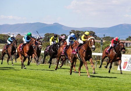 Racing at Kenilworth Racecourse