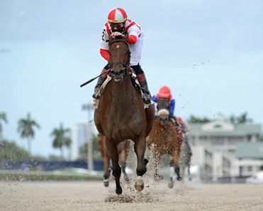 Search Results - Horse Profile - BloodHorse