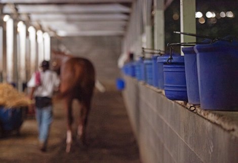 Speed Art Museum to Present ‘Backside’ Documentary