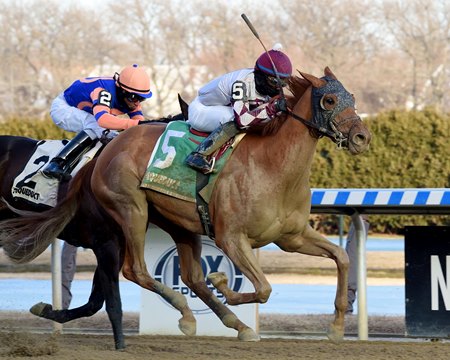 The Grass Is Blue surges past Coffee Bar to win the Busanda Stakes at Aqueduct Racetrack