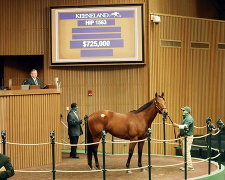Turned Aside sells for $725,000 at the Keeneland January Sale 