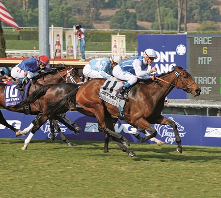 Goldikova wins the 2009 Breeders' Cup Mile in the colors of Alain and Gerard Wertheimer at Santa Anita Park