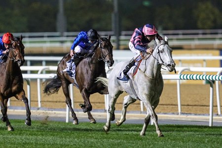 Lord Glitters wins the Singspiel Stakes at Meydan Racecourse