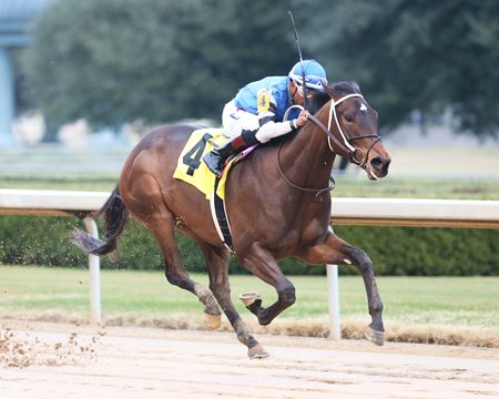 Abrogate Set for Stakes Debut in Dixie Belle - BloodHorse