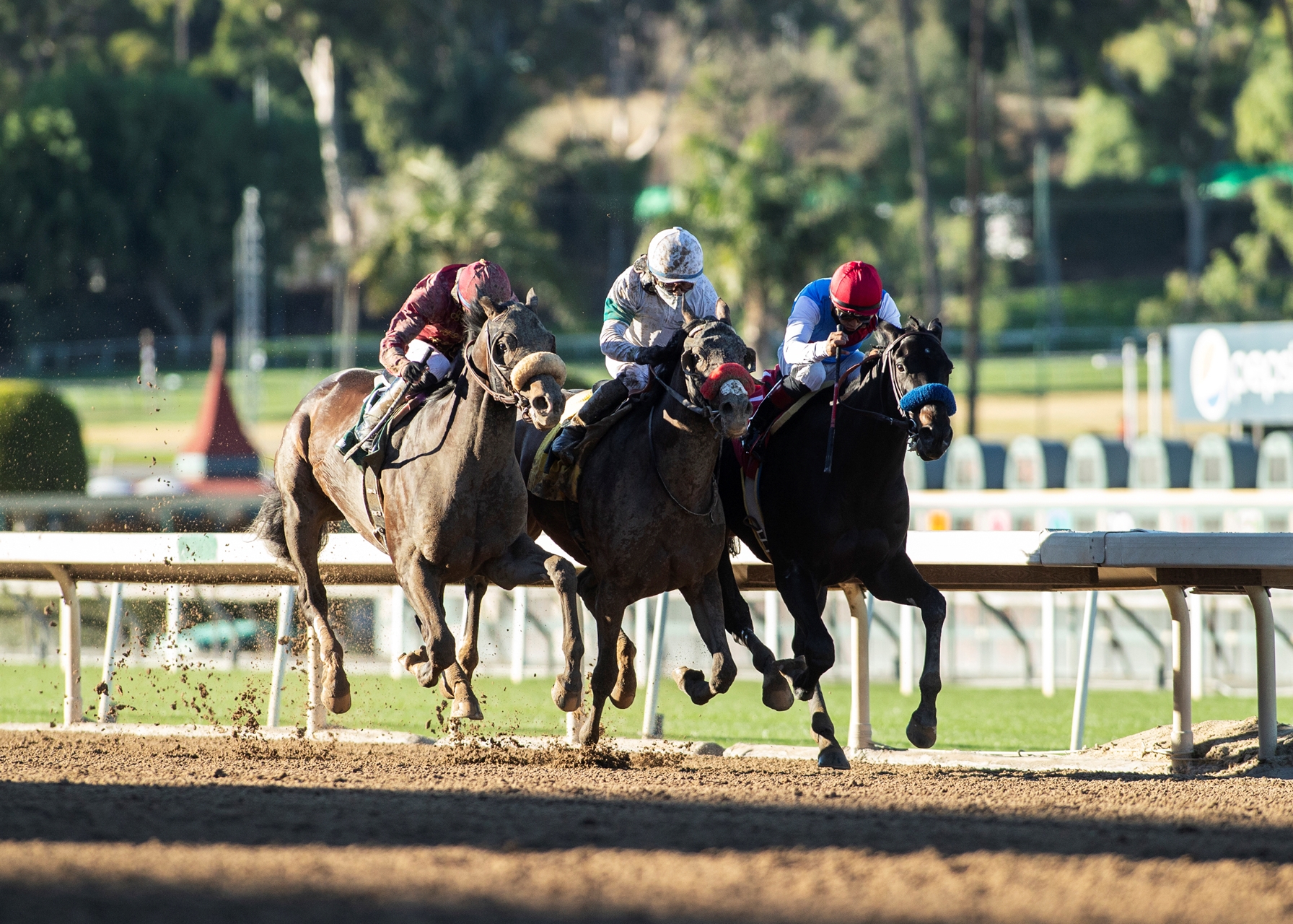 Medina Spirit Narrowly Lands Robert B. Lewis - BloodHorse