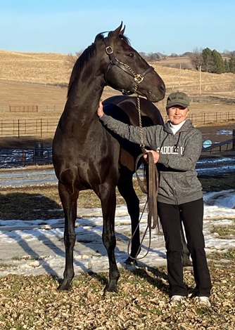 Court Vision, Giant Expectations Invigorating Nebraska - BloodHorse