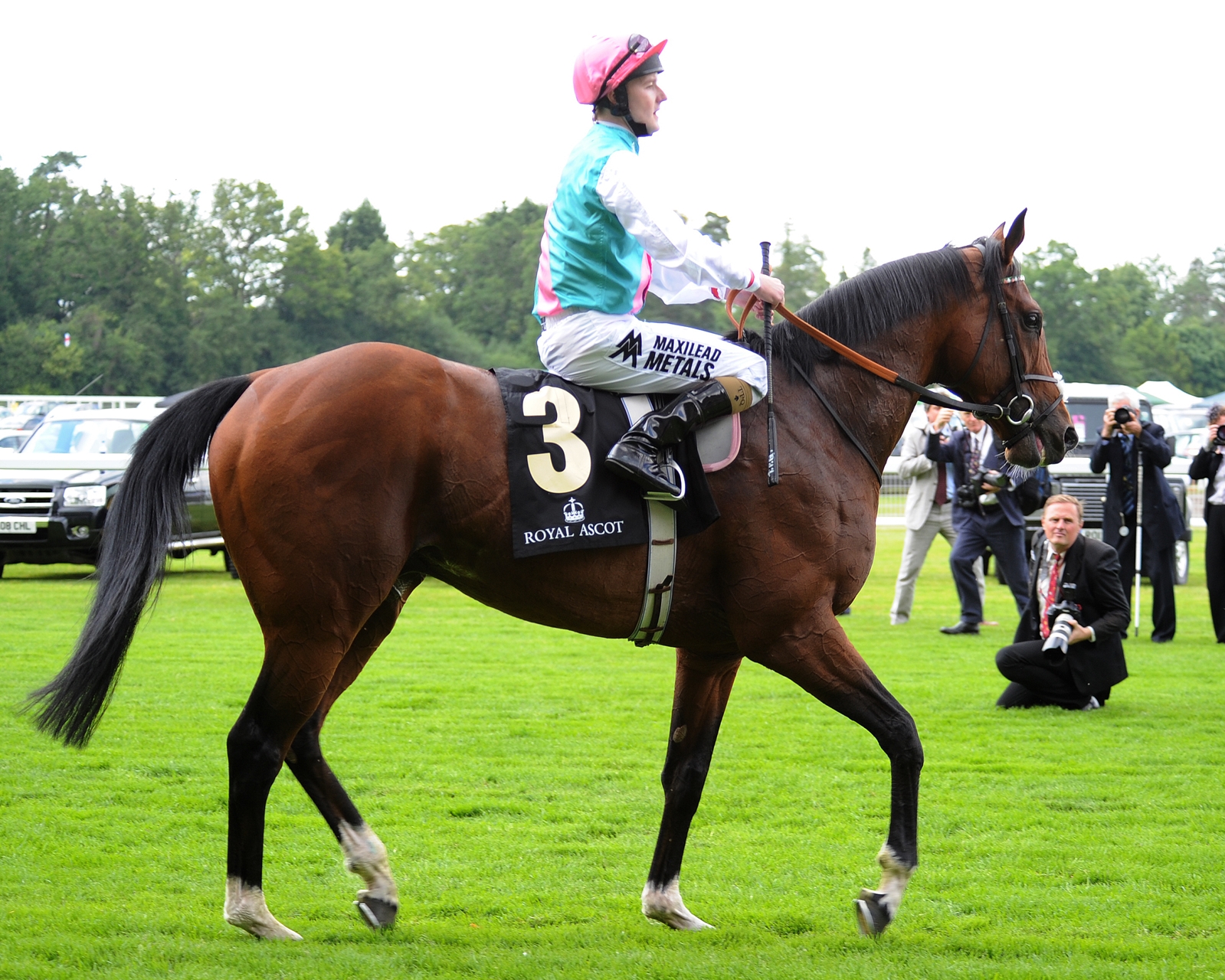 Frankel (GB) - Horse Profile - BloodHorse