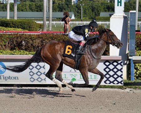 Pacific Gale wins the Inside Information Stakes at Gulfstream Park