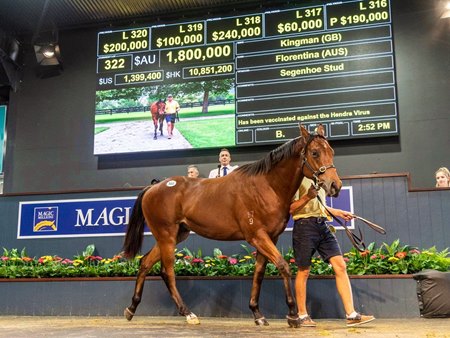 The Kingman colt consigned as Lot 322 in the ring at the Magic Millions Gold Coast Yearling Sale