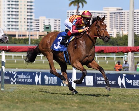 Zofelle scores in the Marshua's River Stakes at Gulfstream Park