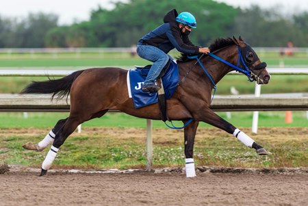 Jesus' Team works Jan. 16 at Palm Meadows Training Center