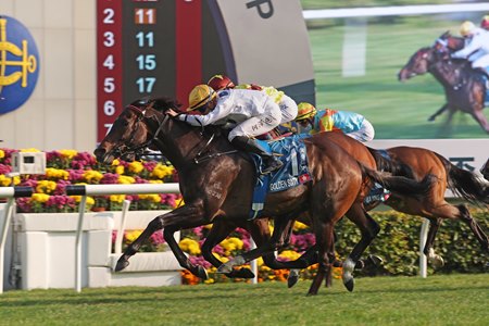 Golden Sixty wins the Stewards' Cup at Sha Tin Racecourse