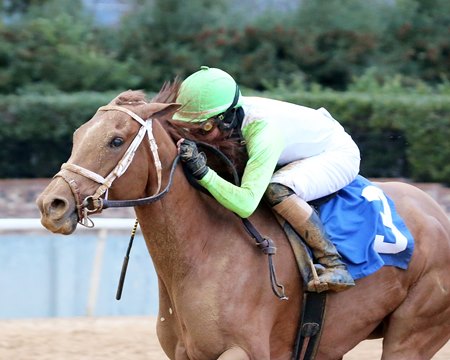Getridofwhatailesu wins the Pippin Stakes at Oaklawn Park