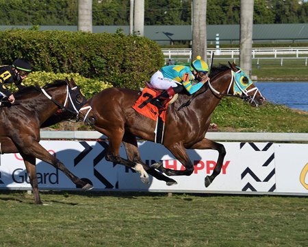 Tide of the Sea wins the W. L. McKnight Stakes at Gulfstream Park