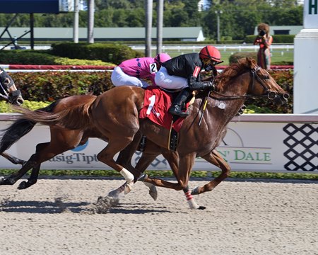 Performer Highlights Gulfstream Park Mile Bloodhorse