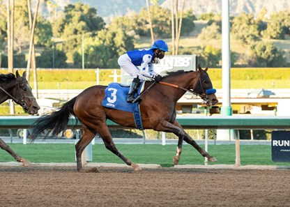 Qahira - Horse Profile - BloodHorse