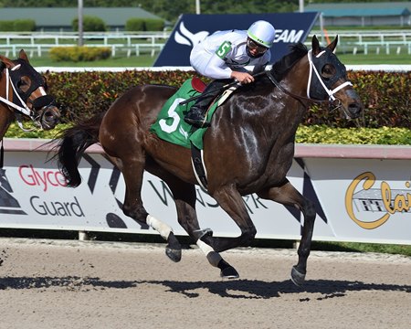 Fearless wins the Gulfstream Park Mile Stakes at Gulfstream Park 