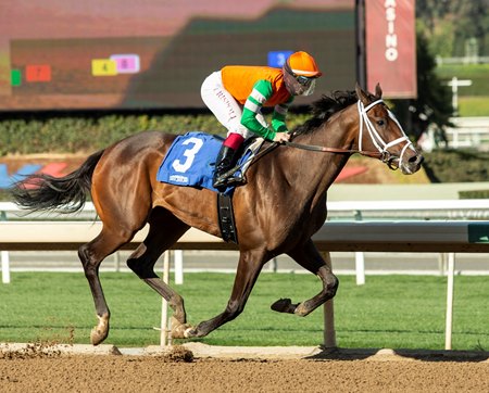 Round Two For Moraz, Moonlight d'Oro in Las Virgenes - BloodHorse