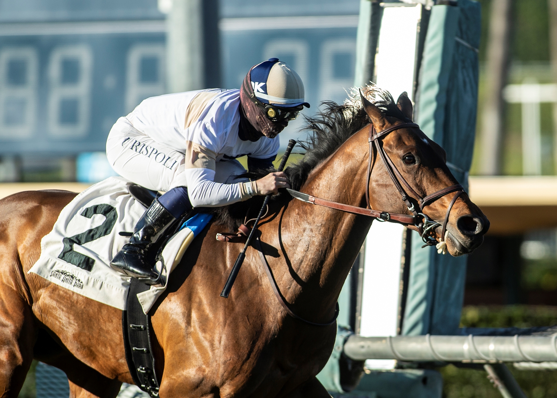 Equibase Horse Racing Horse Racing Entries Horse Racing Results Equibase Horse Racing Horse Racing Entries Horse Racing Results