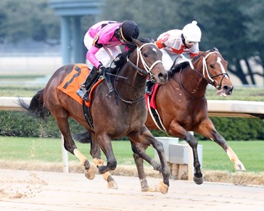 Aloha West - Horse Profile - BloodHorse