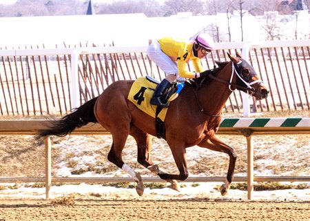 Maythehorsebwithu draws away to win the Miracle Wood Stakes at Laurel Park