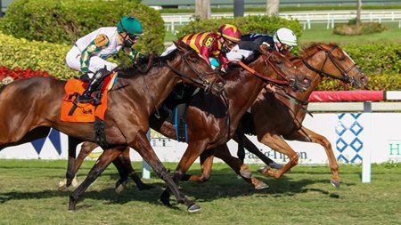 Got Stormy (inside) wins the Honey Fox Stakes over Zofelle (center) and Feel Glorious (outside) at Gulfstream Park
