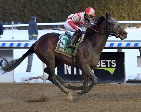 Risk Taking wins the Withers Stakes at Aqueduct Racetrack