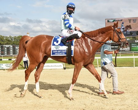 Get Smokin after winning the Tampa Bay Stakes at Tampa Bay Downs