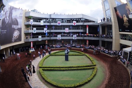 The paddock at Hipodromo de las Americas