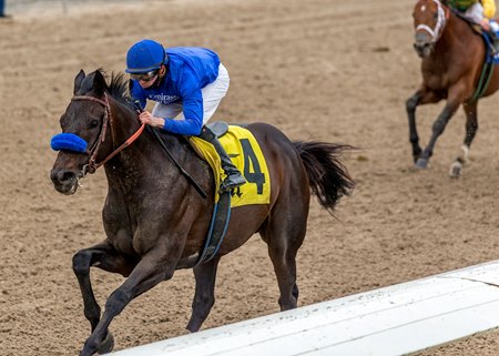 Maxfield wins the Mineshaft Stakes at Fair Grounds Race Course