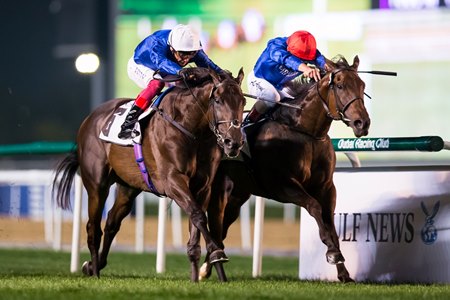 Godolphin Scores In Penultimate World Cup Carnival Meet Bloodhorse