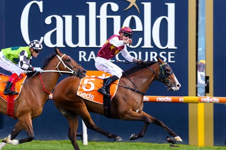 Jockey Zac Spain celebrates his first group 1 victory as Streets of Avalon wins the C.F. Orr Stakes at Caulfield Racecourse